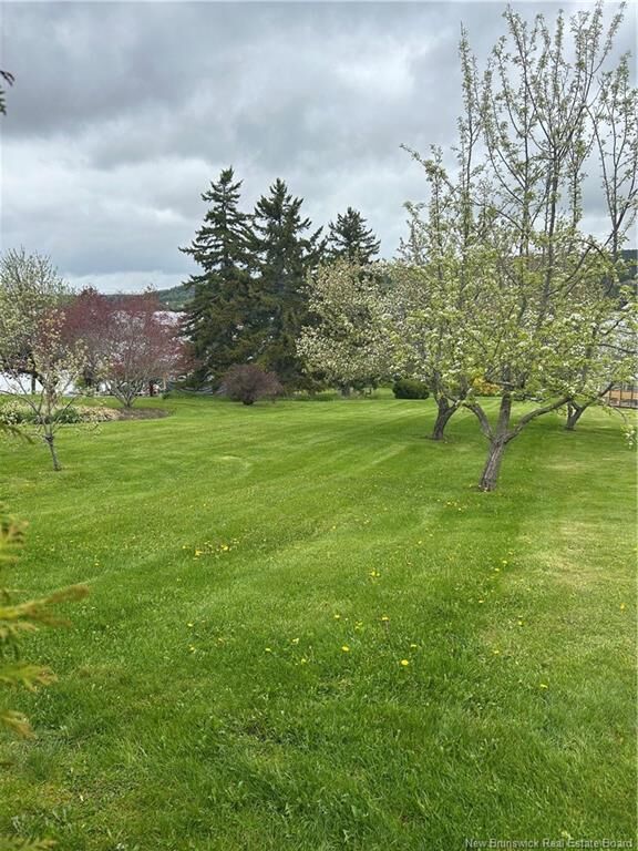85 Brandy Point Road — photo 1