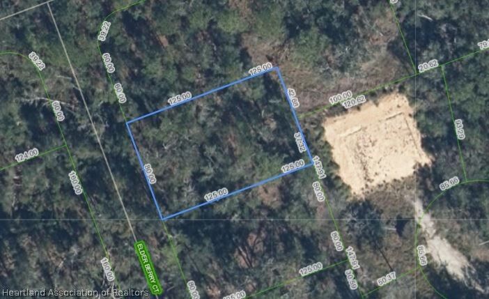 Property Photo: 9408 Elder Berry Court FL 33875