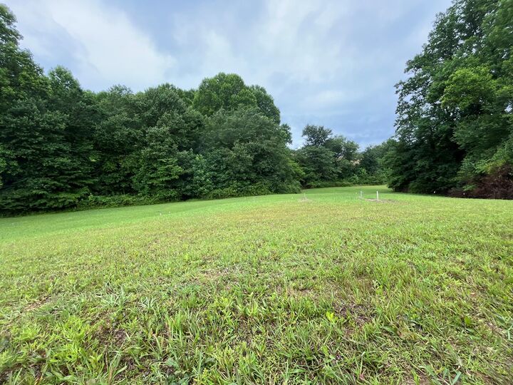 Property Photo:  Lot 117 Owen Glen Drive  GA 30512 