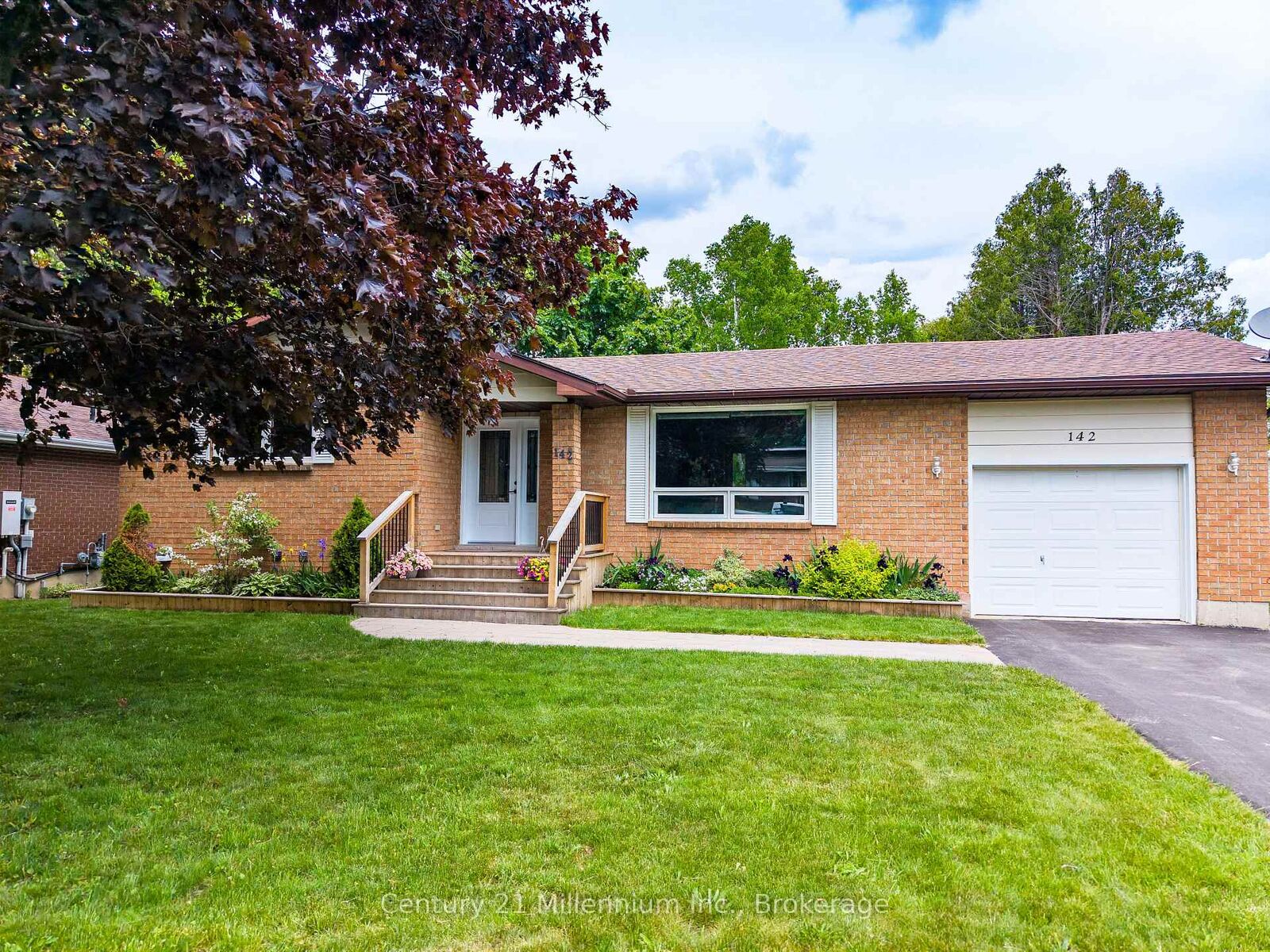 Property Photo:  142 Arthur Street  ON N0H 2P0 