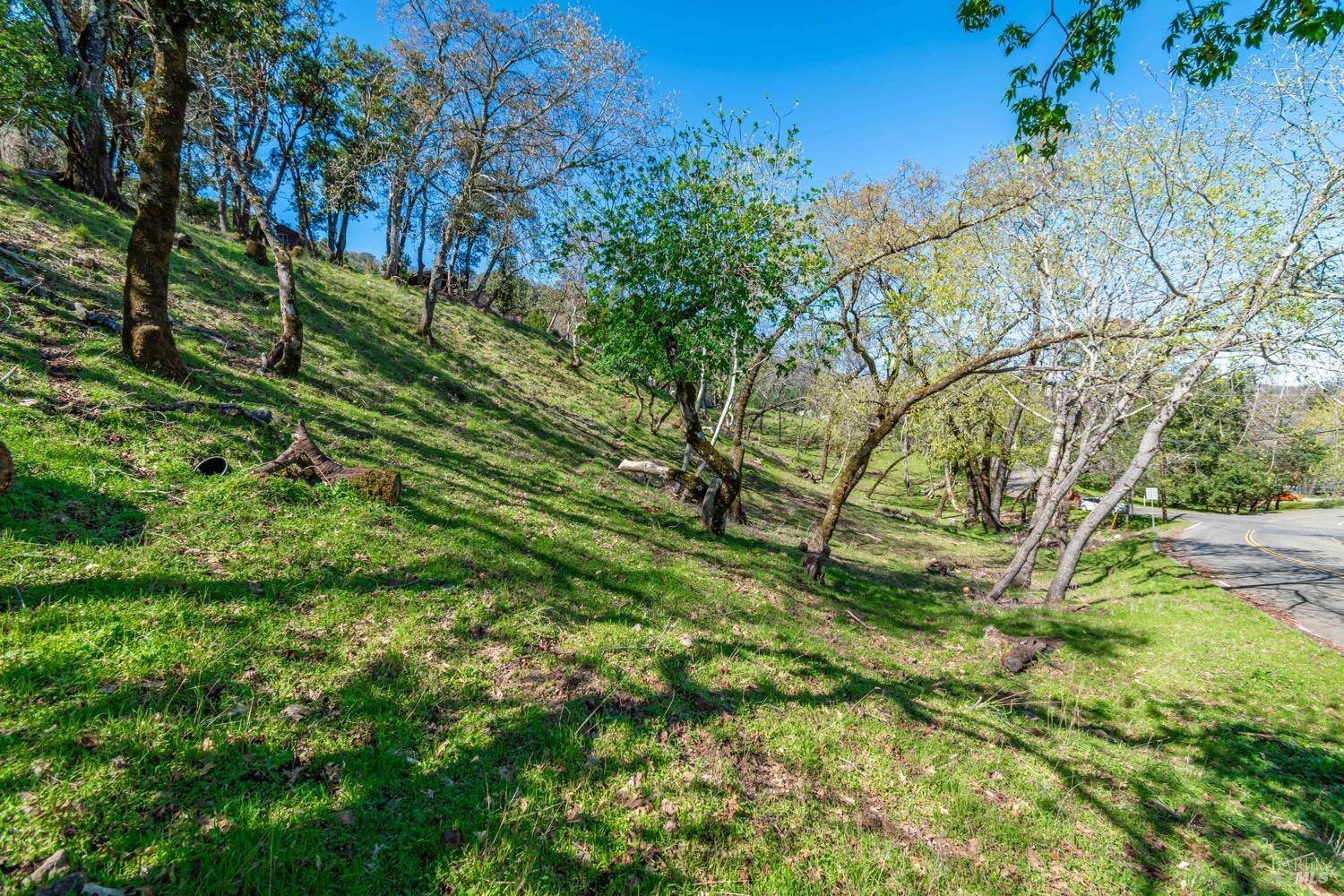 Property Photo: 0 Country Club Lane 270 CA 94558