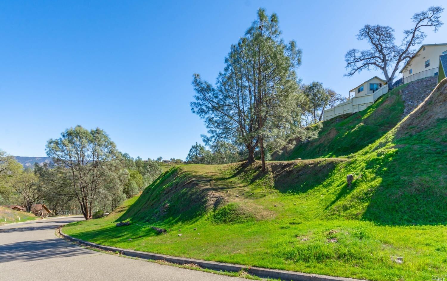 Property Photo: 1276 Steele Canyon Road CA 94558