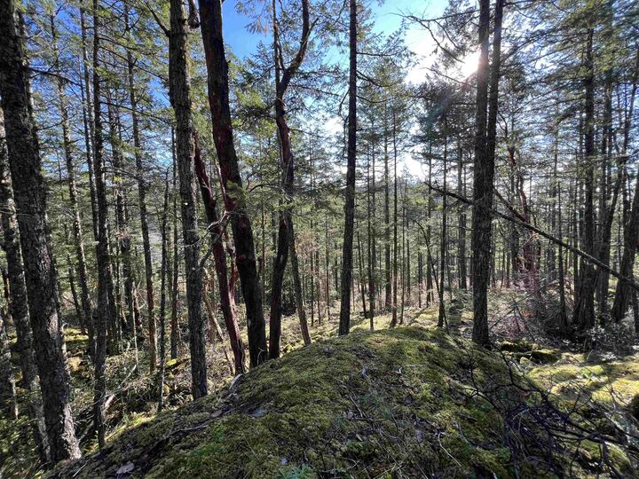 Property Photo:  13589 Lee Road  BC V0N 1S1 