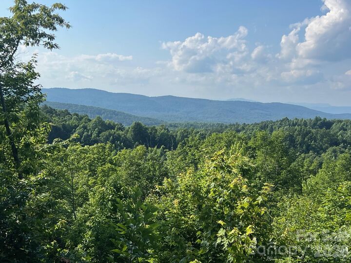 Property Photo:  253 Falls Creek Drive  NC 28761 
