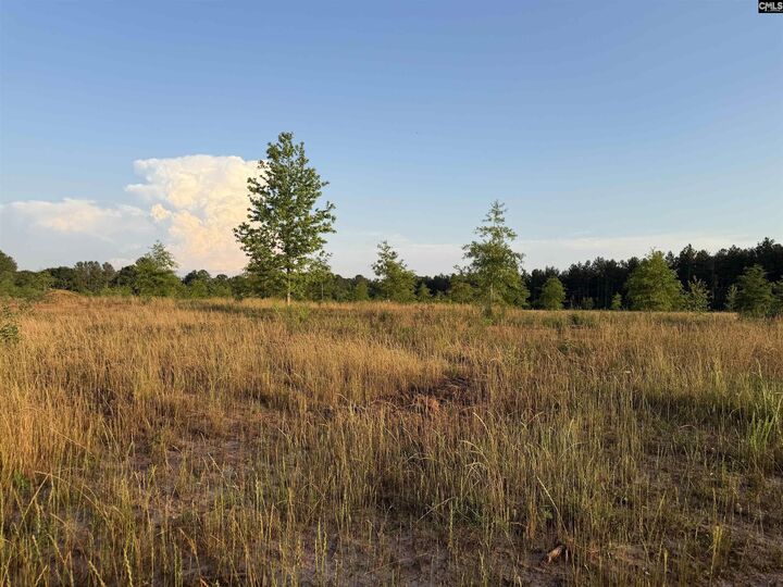 Property Photo:  000 Livingston  SC 29126 