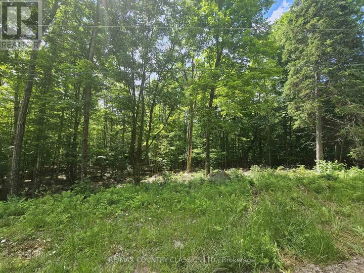 Property Photo:  Pt Lt 22 O'Grady Settlement Road  ON K0J 2A0 