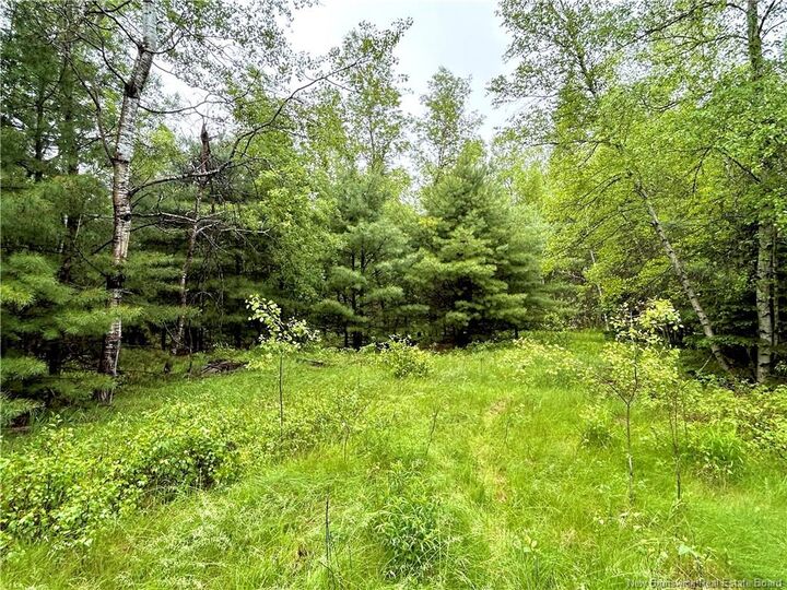 Property Photo:  1.44 Acres Kelly Road  NB E1N 0B5 