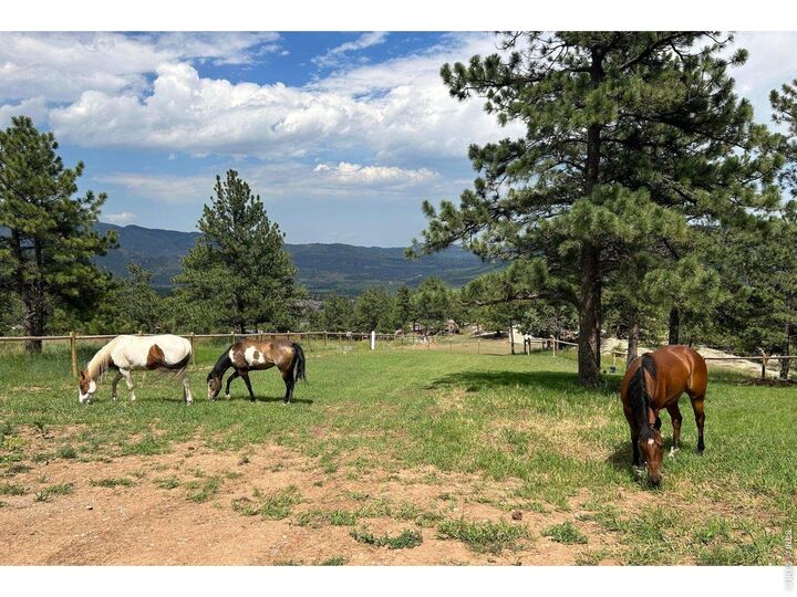 Property Photo: 1893 Colard Ln CO 80540
