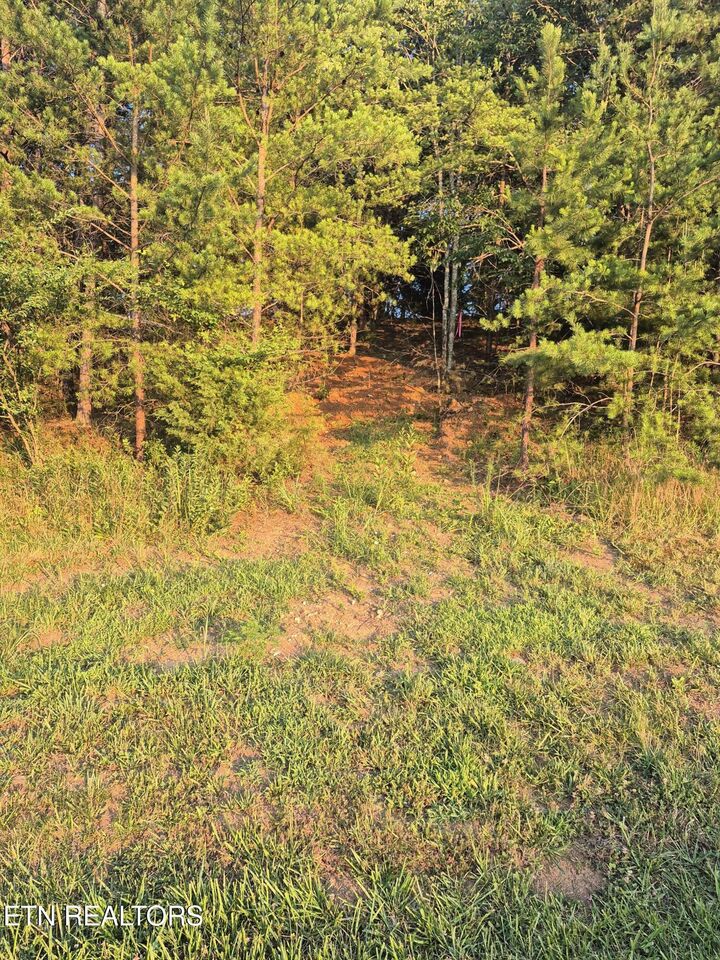 Property Photo:  165 Glen Mar Drive  TN 37772 