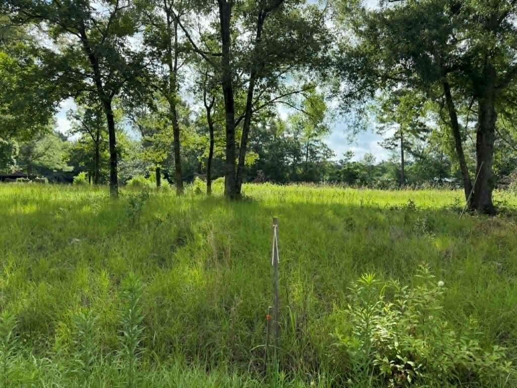 Property Photo:  194 Lindsley Lane  TX 75949 