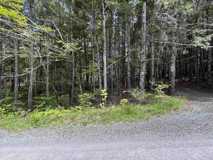 Property Photo:  Lot 17 Bruhm Lane  NS B0J 2E0 