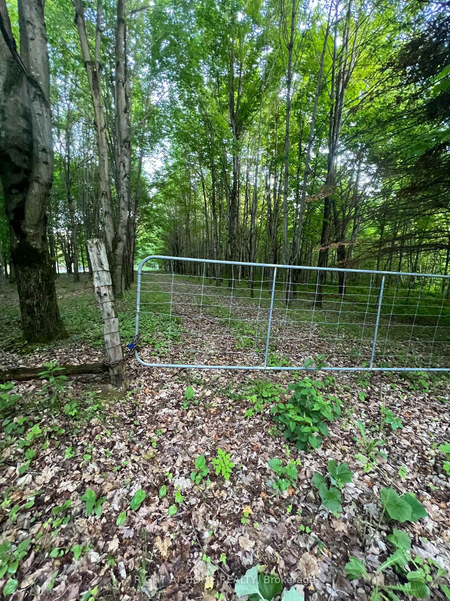 Property Photo:  1947 Route 100 N/A  ON K0A 2M0 