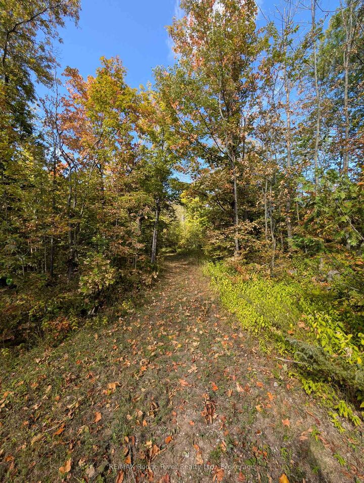 Property Photo:  103080 Highway 7 Highway E  ON K0K 2M0 