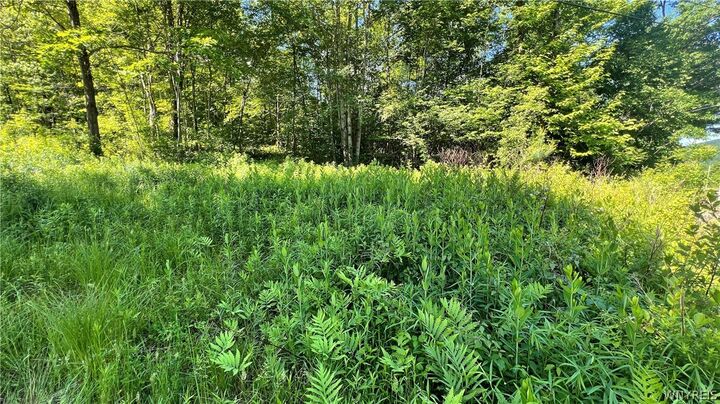 Property Photo:  Cherry Valley Road  NY 14706 