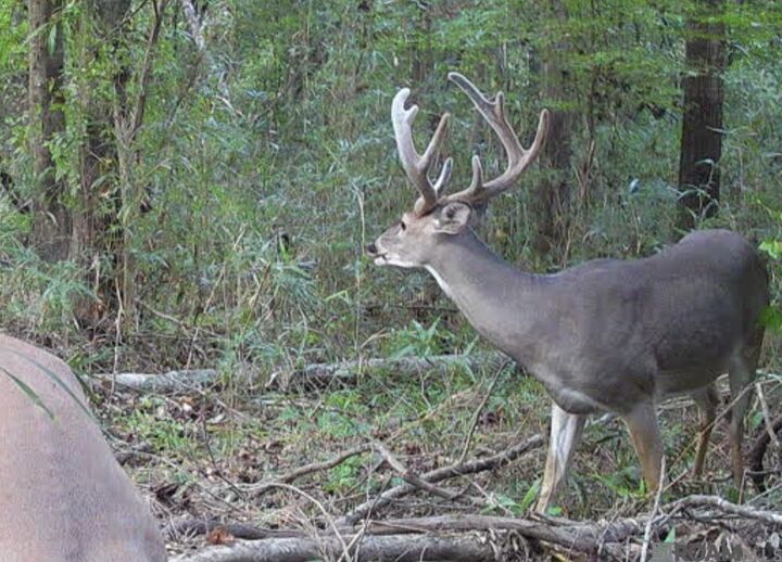 Property Photo:  11255 Old Port Gibson Road  MS 39086 