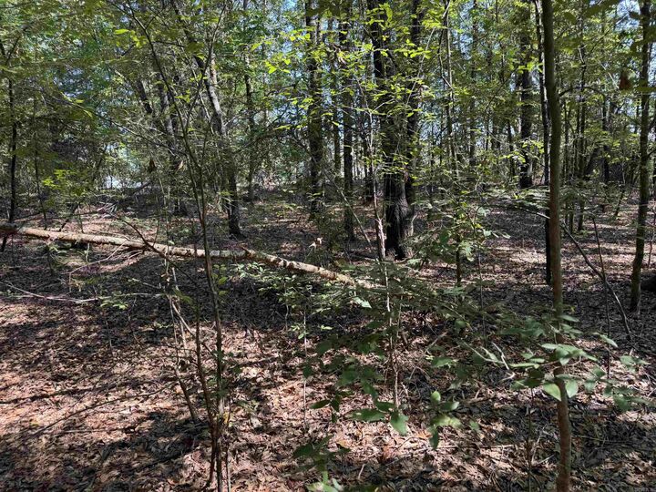 Property Photo:  00 Calvary Circle  AR 72086 