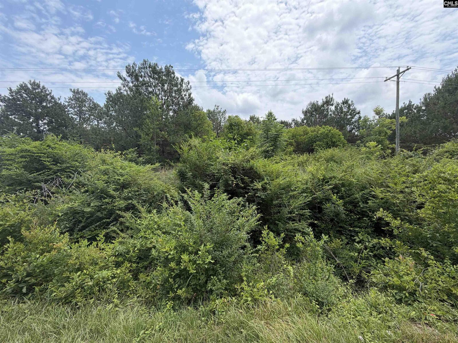 Property Photo:  996 Corbett Mill  SC 29010 