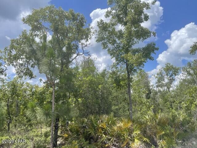 Property Photo: 0000A NW Rowland Lane FL 32438