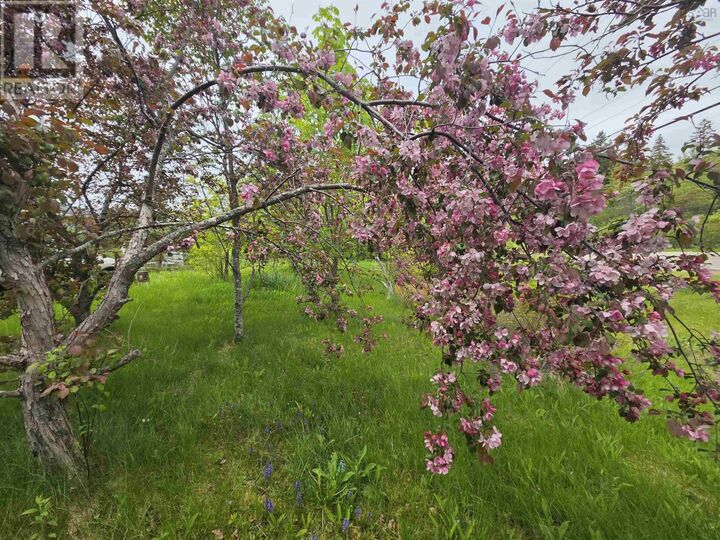 Property Photo: 2037 Castle Bay Road NS B1T 1H3