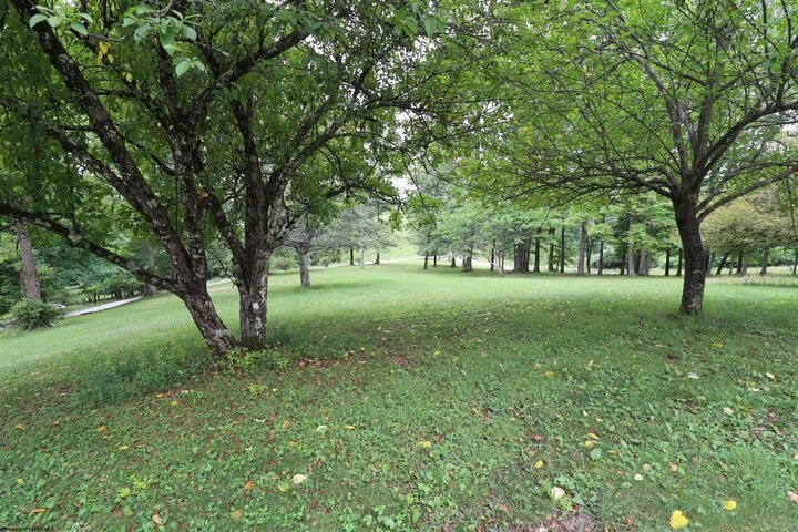 Property Photo: 523 Ebberman Creek WV 26241