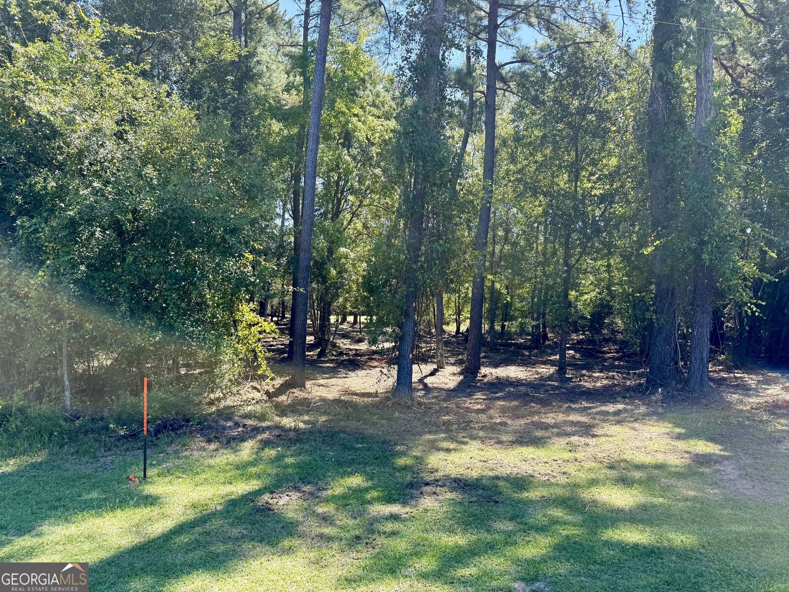 Property Photo:  0 Friendship Road  GA 30467 