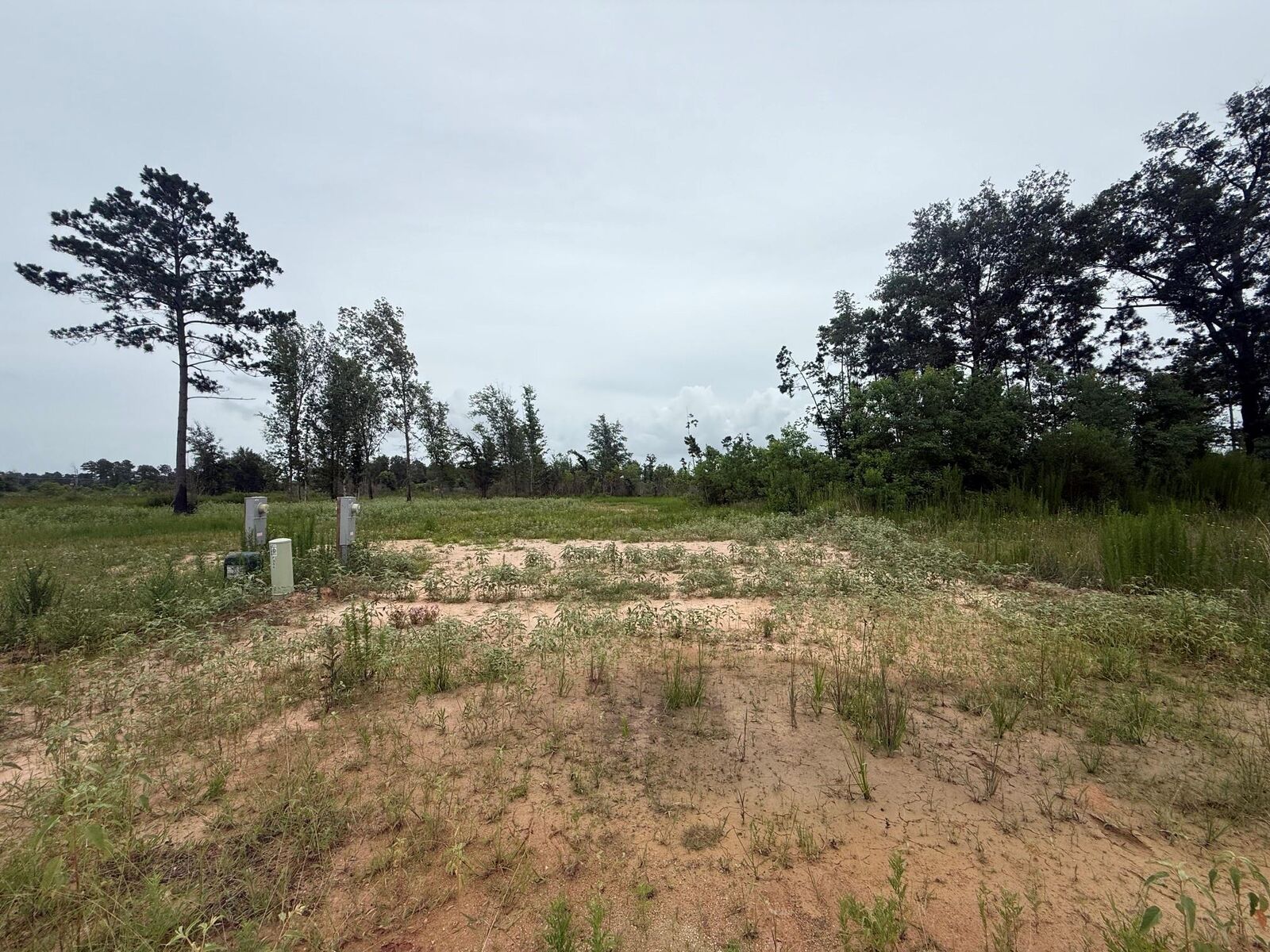 Property Photo: 386 Road 5879 TX 77327
