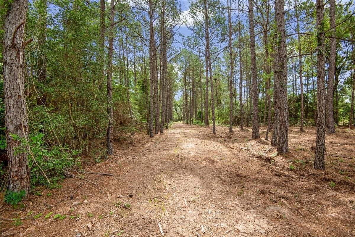 Property Photo:  Tbd Lot 3 County Road 302  TX 77363 