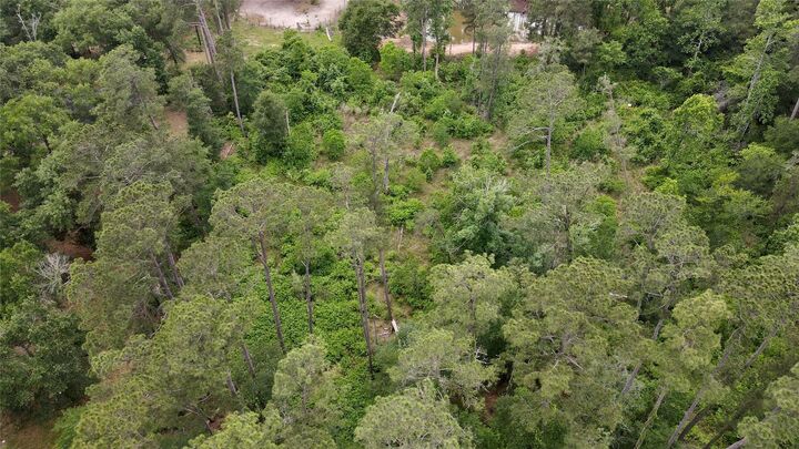 Property Photo: 0 Keenan Cutoff Rd TX 77316