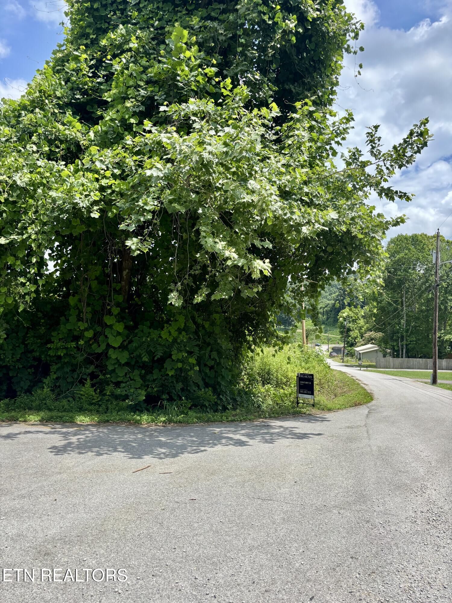 Property Photo: 0 Davis Hollow Rd TN 37748
