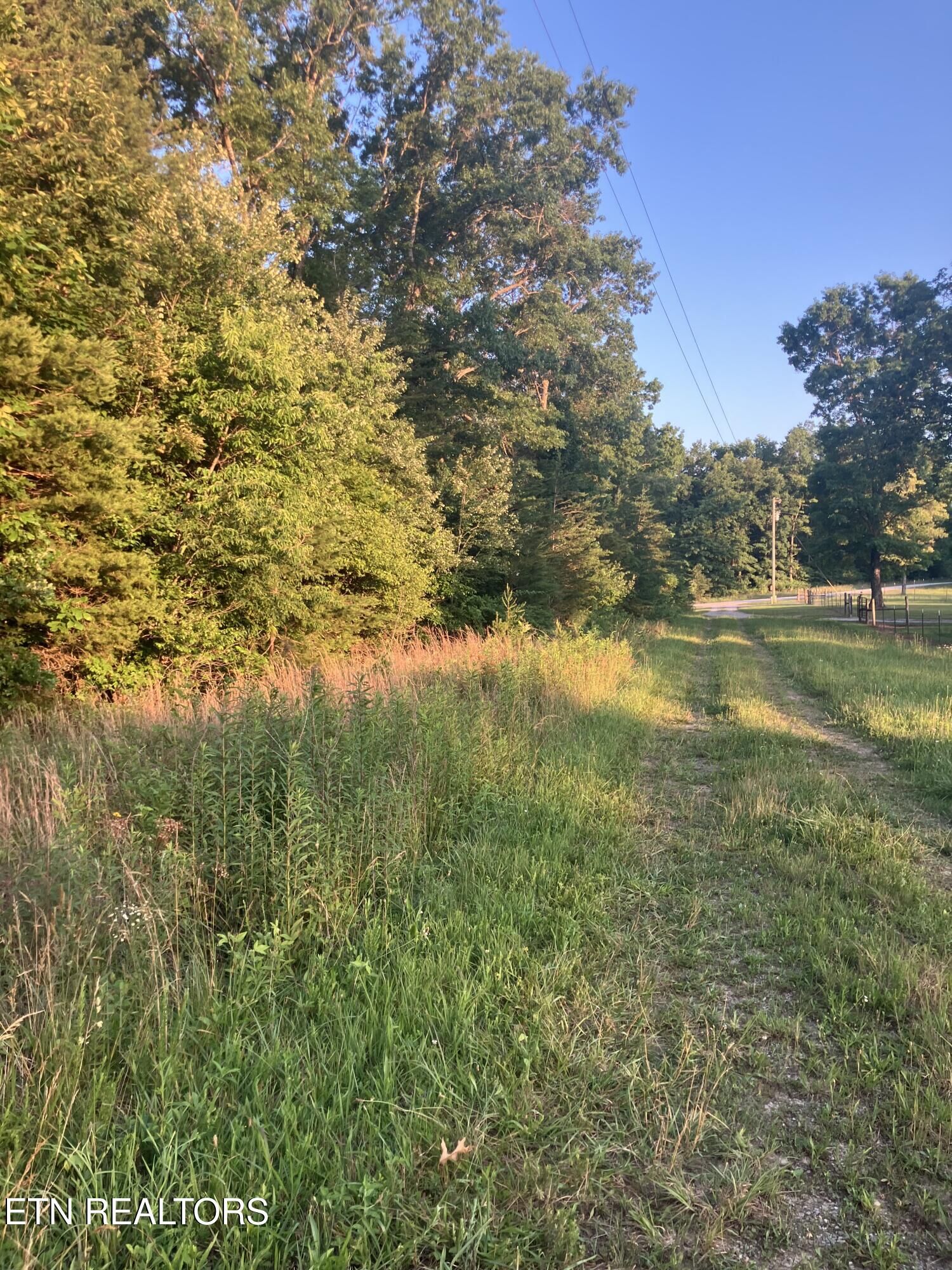 Property Photo:  Lot 10 Holly Drive  TN 37367 
