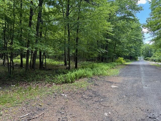 Property Photo:  Lot 249-Maple Lane  PA 18229 