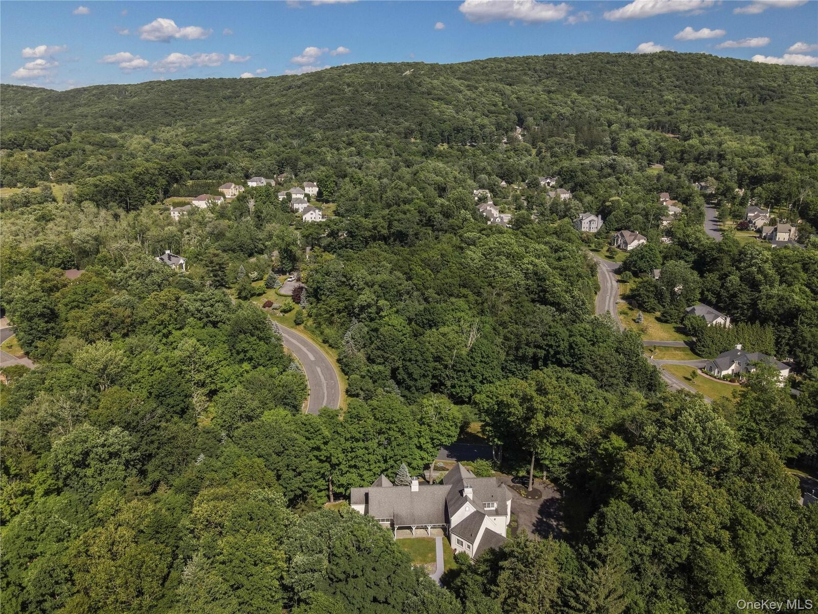 Property Photo:  10 Greenwich Avenue  NY 10917 
