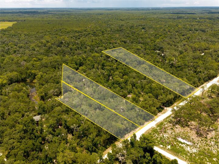 Property Photo:  7333 Riverview Drive  FL 33597 