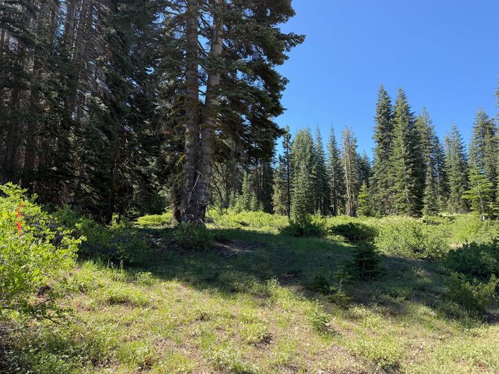 Property Photo: 18 Blue Rock Trail CA 95223