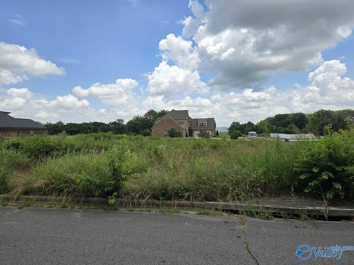 Property Photo:  Lot 24 Brigadoon Drive  AL 35757 
