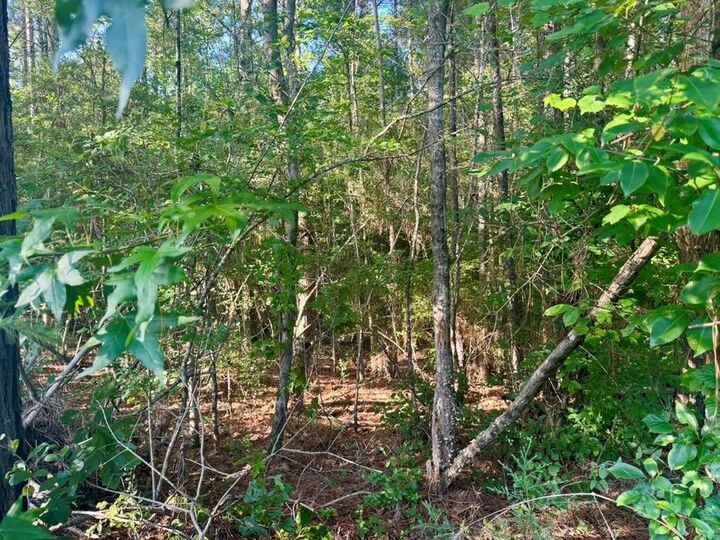 Property Photo: Pid# 15463 Co Rd 1039 TX 75932