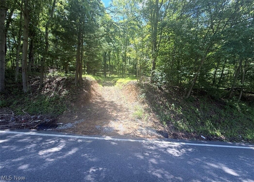 Property Photo: Hardins Run Road WV 26047