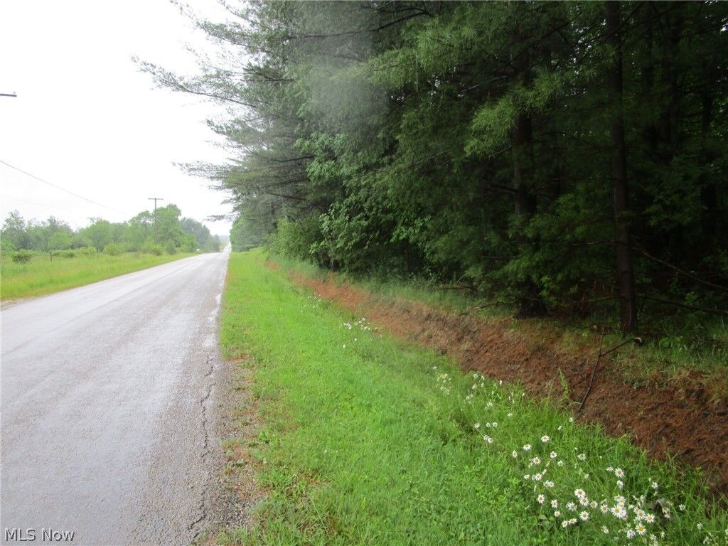 Property Photo:  Vl Callender Road  OH 44085 