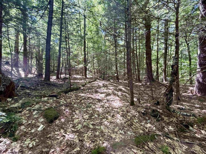 Property Photo: Mountain View Drive NH 03223