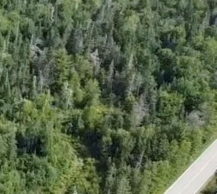Property Photo:  Lot Rockland Road  NS B0T 1V0 