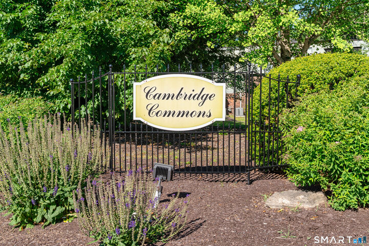 Property Photo:  308 Cambridge Commons 308  CT 06457 