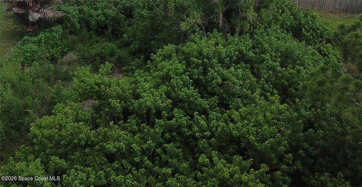 Property Photo: 1743 SE Manth Lane FL 34983