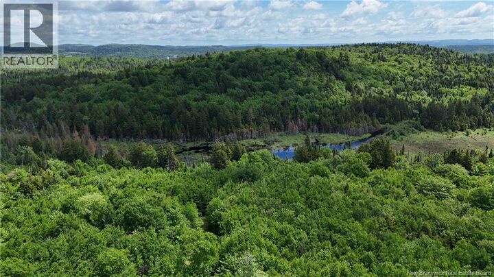 Property Photo:  Lot Backland Road  NB E5N 1E4 