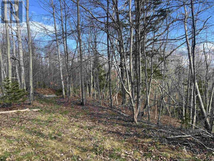 Property Photo:  Lot 2-1-B Seaview Cemetary Road  NS B0K 1H0 