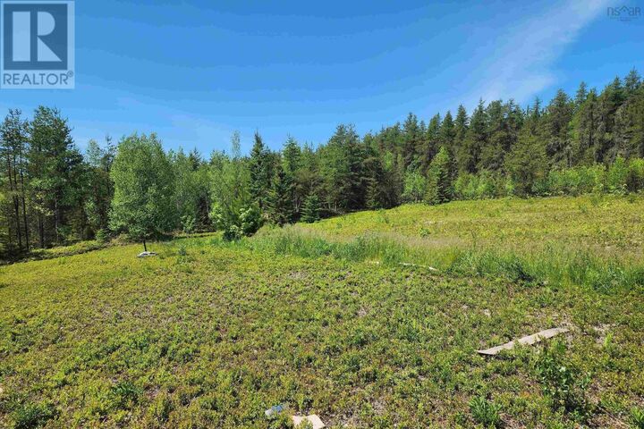 Property Photo: 342 Reid Settlement Road NS B0M 1X0