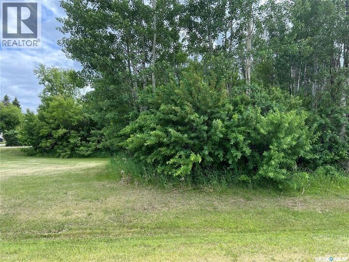 Property Photo:  327 Windsor Avenue  SK S0E 1H0 
