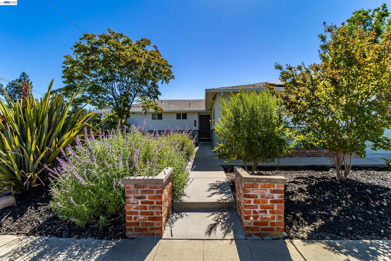 Property Photo:  1042 Nielsen Lane  CA 94550 