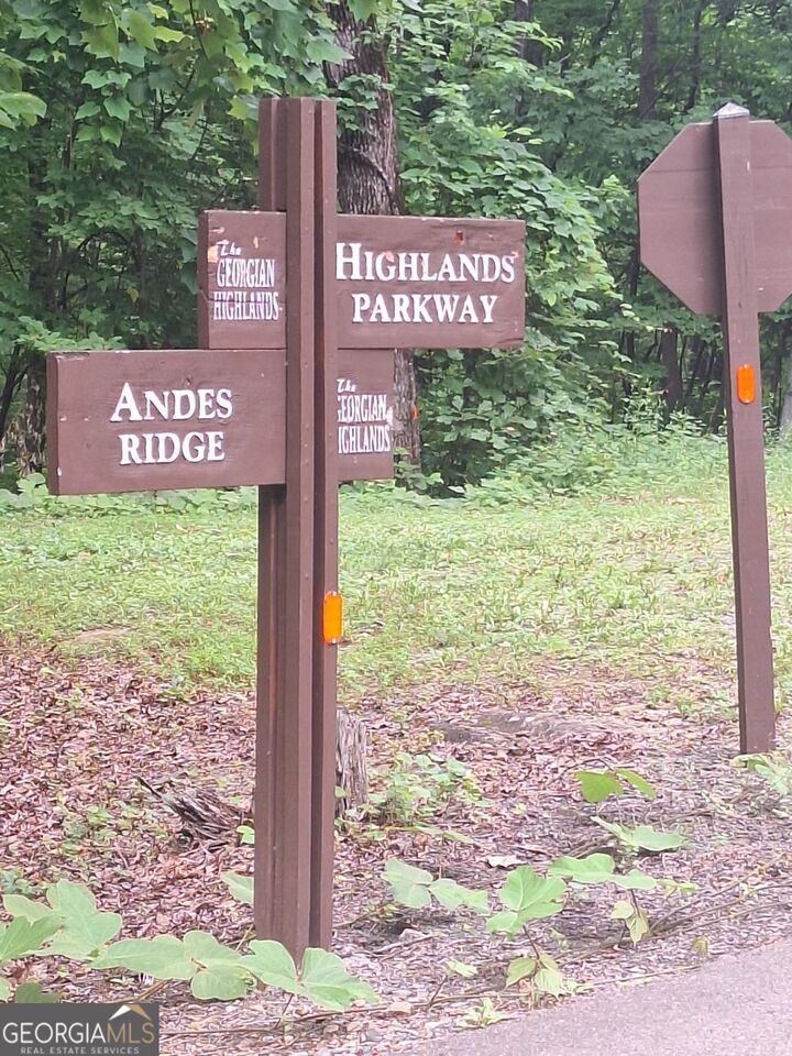 Property Photo:  Lot 274 Andes Ridge  GA 30540 