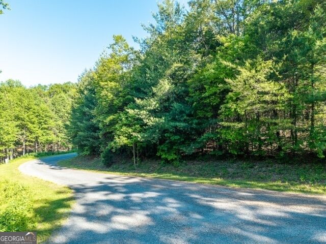 Property Photo:  Lot 52 Creek Trail  GA 30540 
