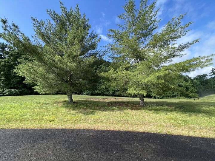 Property Photo: 52 52 Zion Loop Loop KY 42642